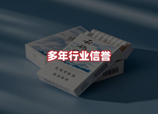专业团队